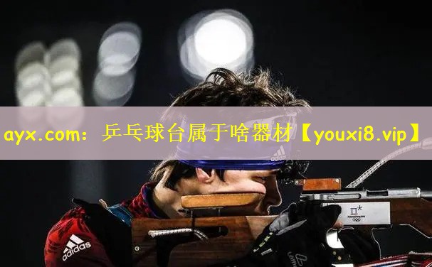 ayx.com：乒乓球台属于啥器材